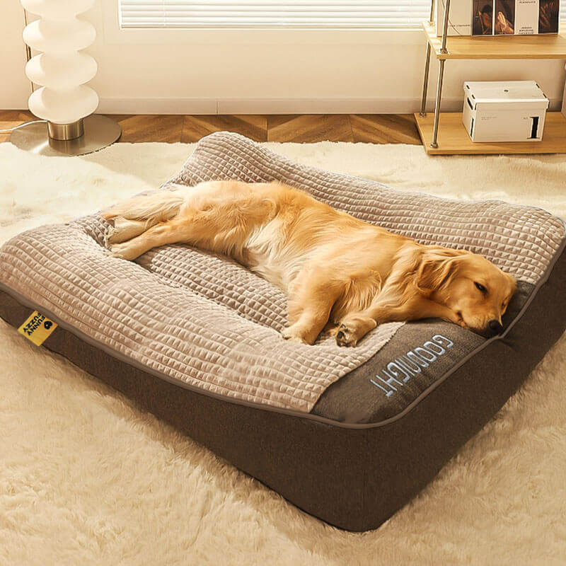 Hondenbed met rugbescherming